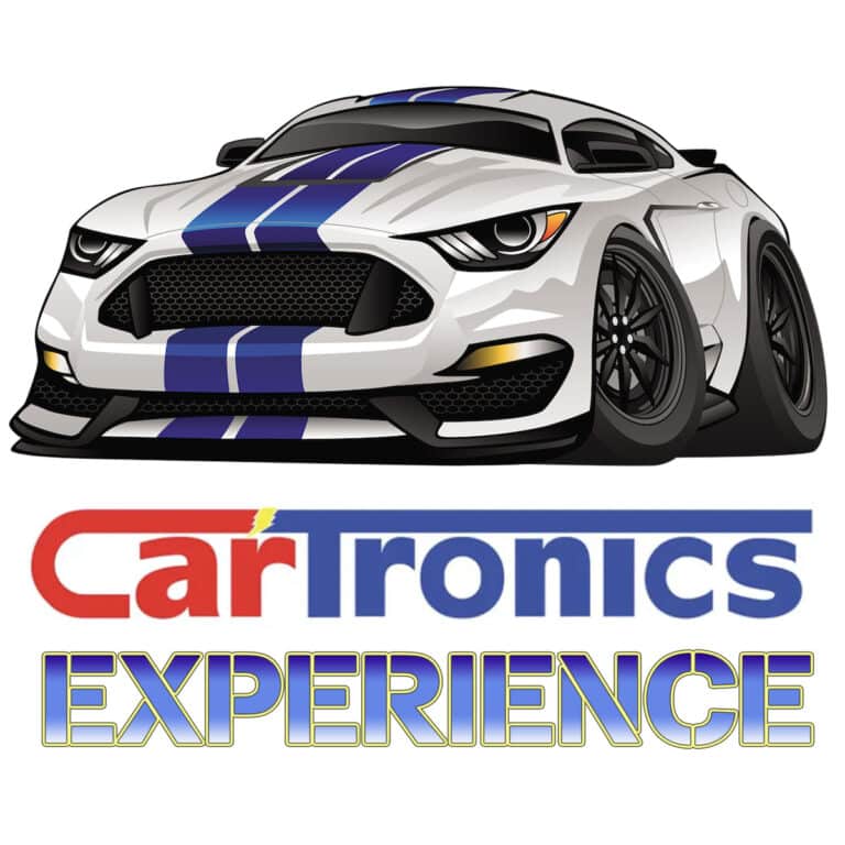 THE CARTRONICS EXPERIENCE